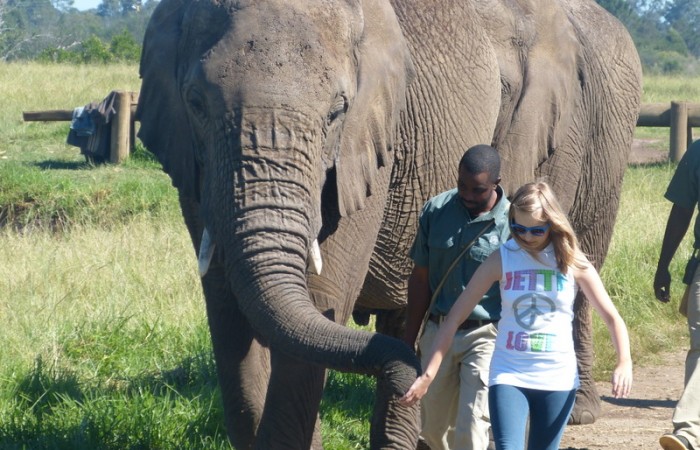 Walk with Elephant